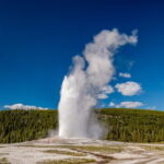 Yellowstone in a Day - Grand Loop Yellowstone Tour - The Sum Up
