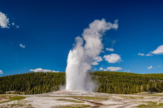 Yellowstone in a Day - Grand Loop Yellowstone Tour - The Sum Up