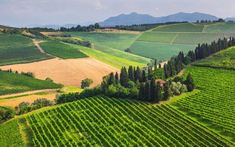YOUR HONEYMOON IN TUSCANY: Private Chianti Wine Tasting Tour - FAQ