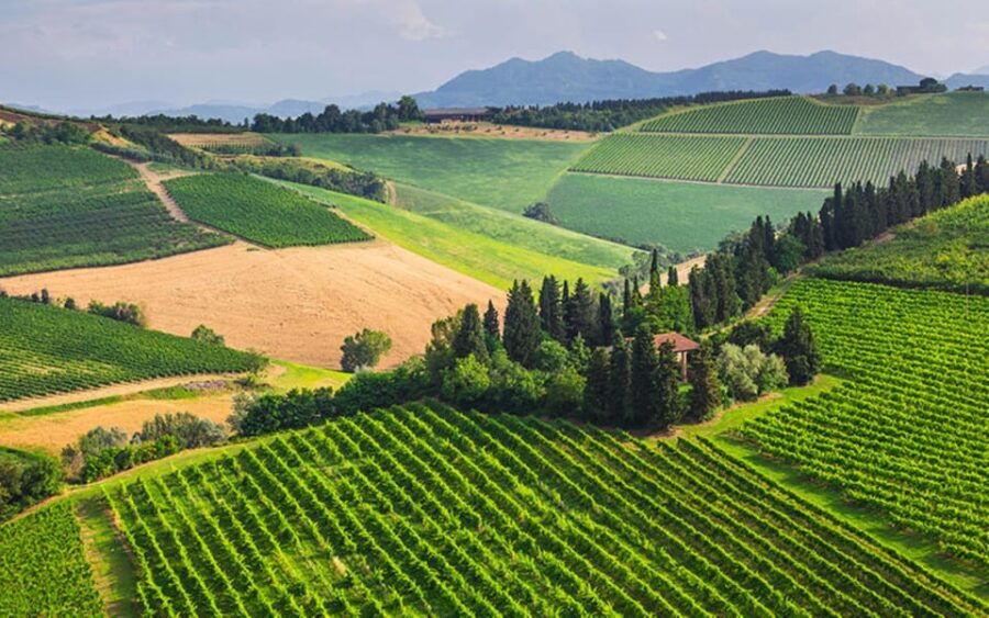 YOUR HONEYMOON IN TUSCANY: Private Chianti Wine Tasting Tour - FAQ