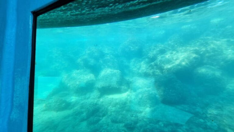 Zadar: Yellow Semi-Submarine Underwater Exploration Tour - Authentic Guest Insights and Experiences
