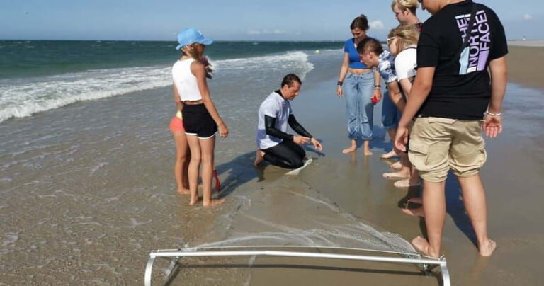 Zeeland Strand safari met visnet NL/DE - Practical Details and Logistics