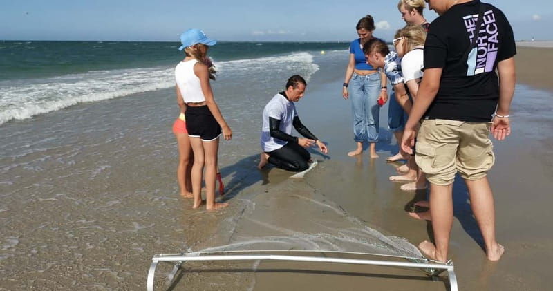 Zeeland Strand safari met visnet NL/DE - Practical Details and Logistics