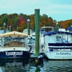 1.5 Hour Boat Rental in Nabbs Creek - Authentic Insights from Reviews