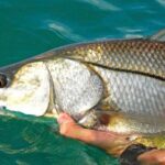 #1 Recommended Family Friendly Guided Fishing Charter Service - The Experience in Detail