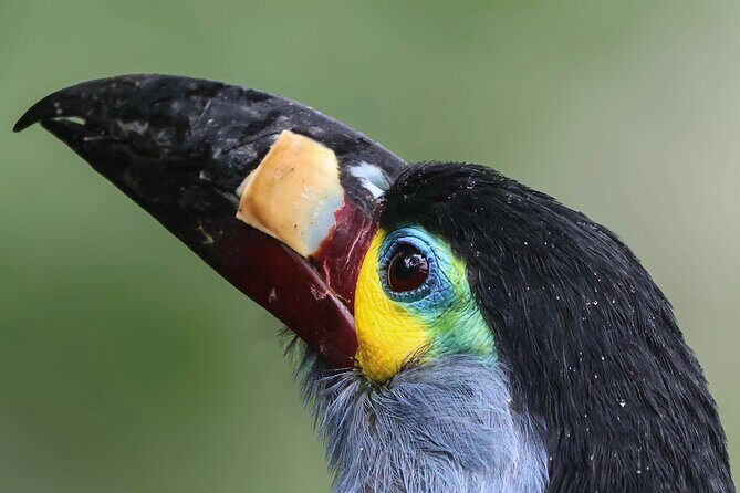 10 Days Birding Photo tour from Andes to Amazon of Ecuador - Final Thoughts: Who Will Love This Tour?