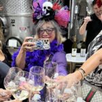 2 to 5 Guests Fredericksburg Private Mercedes SUV Wine Tour - Who Would Love This Tour?