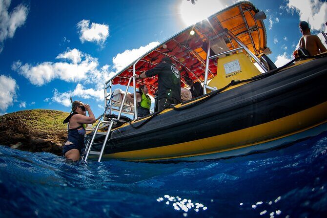 3-Hour Koa Kai Afternoon Adventure Snorkel - Marine Life Encounters and Tips from Reviewers  