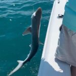 6 Hour Private Fishing Tour in Sarasota with Master Captain Bill - Why This Tour Offers Good Value