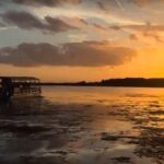 90 Minute Pontoon Cruise in Florida - The Itinerary: What to Expect During Your Cruise