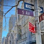 A Gilded Age Audio Guide: New York's Millionaire Row - Authentic Insights from Reviewers