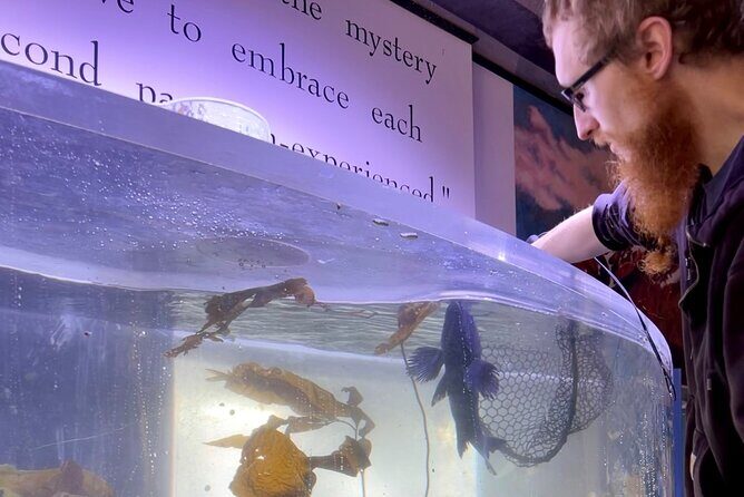 Aquarium Behind the Scenes at Sitka - What to Expect at the Sitka Sound Science Center