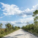 Big Cypress National Preserve Audio Tour Guide - The Value Proposition