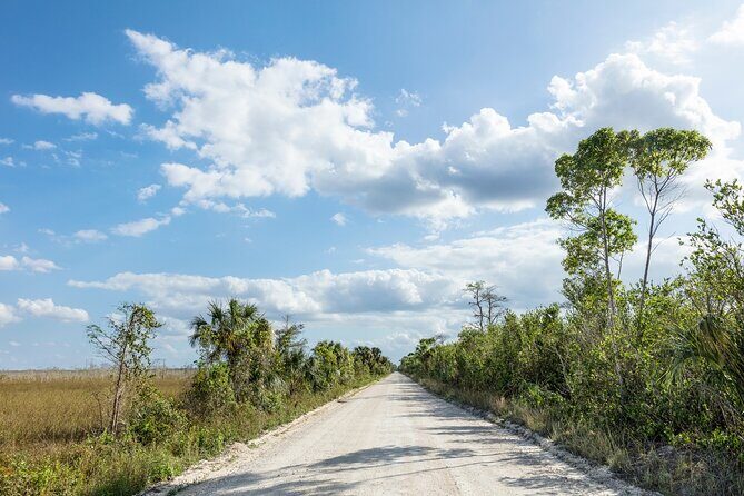 Big Cypress National Preserve Audio Tour Guide - The Value Proposition