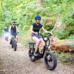 Blue Ridge Mountain E Bike Tour - Practical Details: What You Need to Know