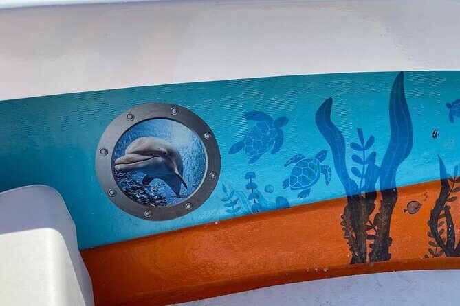 Boat Tour Experience Sea Life Up Close - Who Should Consider This Tour?