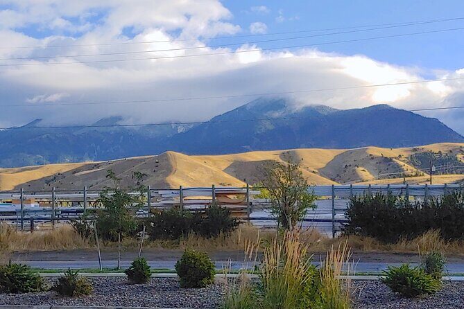 Bozeman Brewery Hop - Why This Tour Stands Out
