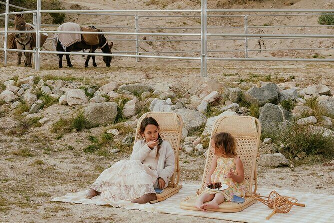 Brunch with Mini Rescue Burros in Southern California - Who Should Consider This Experience?