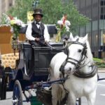 Central Park and NYC Horse Carriage Ride - The Experience on the Day