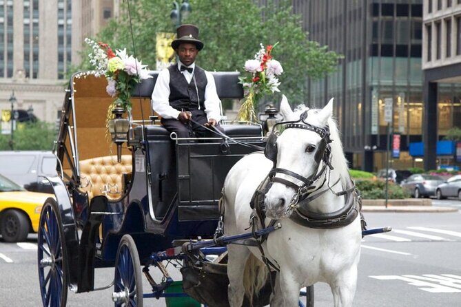 Central Park and NYC Horse Carriage Ride - The Experience on the Day
