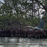 Clear Kayak RentalPeanut Island/West Palm Beach - Final Thoughts