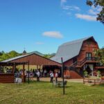Cozy Farm Experience with Wagon Wheels and Acoustic Meal - What to Expect: An In-Depth Look