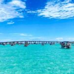 Destin Crab Island Tour in Catamaran - Why This Tour Is a Great Choice