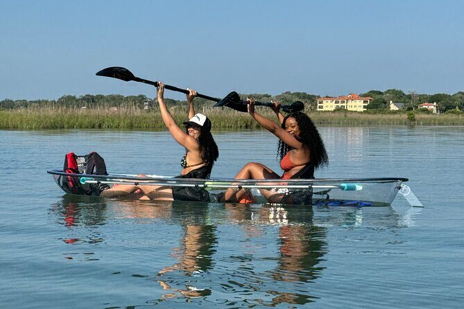 Dolphins and Wildlife Ecotour - Who Will Love This Tour?