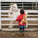 Educational Farm Adventure Tour on Bainbridge Island - An In-Depth Look at the Bainbridge Island Experience