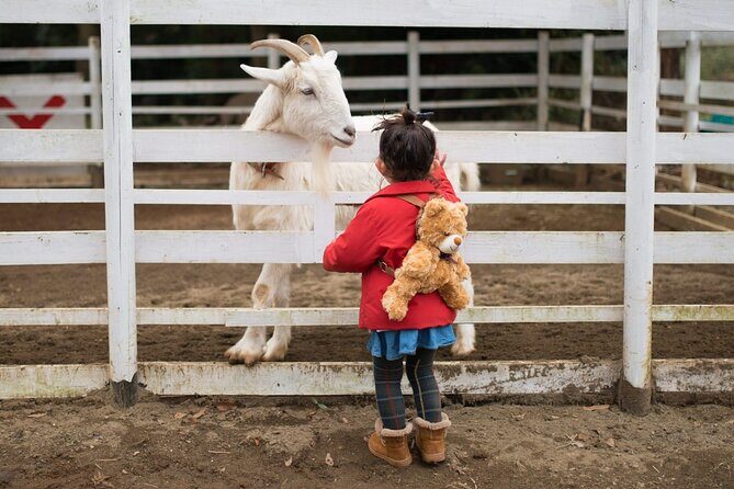 Educational Farm Adventure Tour on Bainbridge Island - An In-Depth Look at the Bainbridge Island Experience