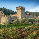 Enchanted Napa & Sonoma Wine Tour from Cupertino - A Deep Dive into the Itinerary