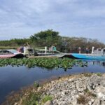 Everglades Tour from Miami Beach with Transportation - Analyzing the Experience: What Works Well and What Doesn’t