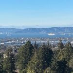 Explore San Francisco Napa Sacramento Oakland Black Exp Car Tour - Who Should Consider This Tour?