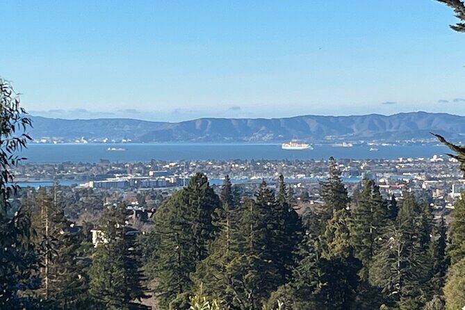 Explore San Francisco Napa Sacramento Oakland Black Exp Car Tour - Who Should Consider This Tour?