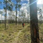 Florida Backcountry Overnight Camping Adventure - Accommodation and Comfort