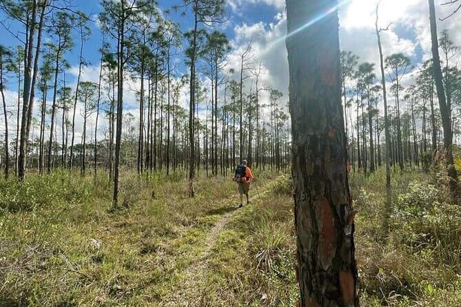 Florida Backcountry Overnight Camping Adventure - Accommodation and Comfort
