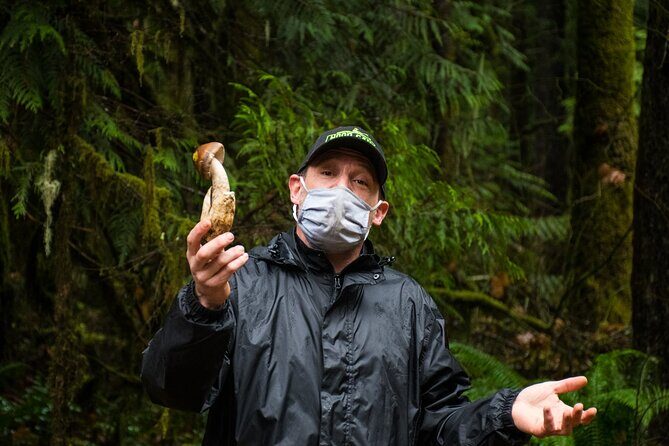 Foraging Tour of Edible Plants and Mushrooms in Brinnon - Why This Tour Appeals to Different Travelers