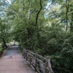 French Bicycle Tour of Central Park - Cinema - The Sum Up