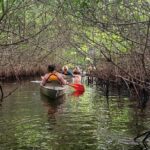 Full Day Everglades Combo Motorboat Eco and Kayak Tour - Who Will Love This Tour?