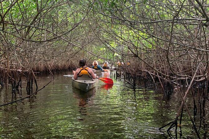 Full Day Everglades Combo Motorboat Eco and Kayak Tour - Who Will Love This Tour?