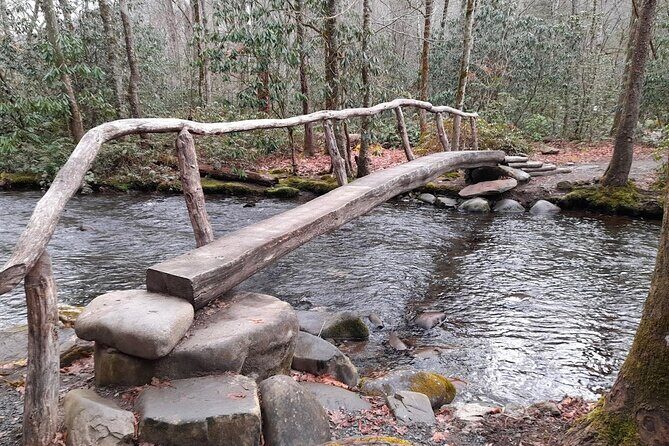Great Smoky Mountains NP Driving Tour smartphone autoplay APP/GPS - What Travelers Can Expect