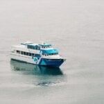 Half-day Resurrection Bay & Wildlife Tour from Seward - How the Experience Adds Up to Value