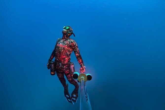 Hanauma Bay Snorkeling Reservation+Equipment Rental - Cost and Value Analysis