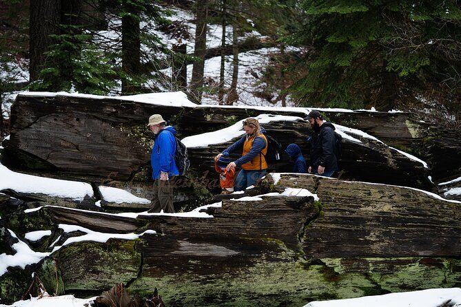 Heart of the Giant Forest Hike - What’s Included and What to Bring