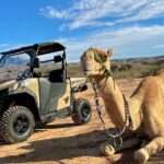 Las Vegas Guided UTV Safari and Zoo Tour - Who Would Love This Tour?
