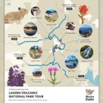 Lassen Volcanic National Park Self-Guided Audio Tour - How the Experience Feels for Visitors