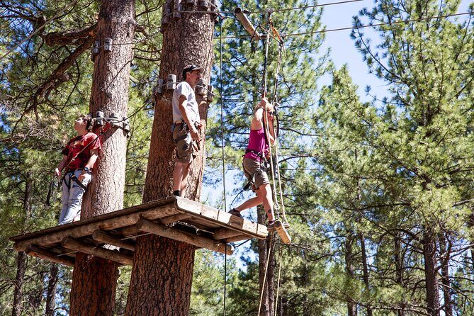 Ledgewood Adventure Course - The Sum Up