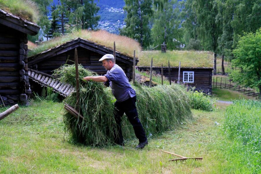 Maihaugen Museum/The Norwegian Olympic Museum, Lillehammer. - Practical Information for Visitors