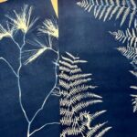 Make Sun Prints in the Desert - Who Will Enjoy This?