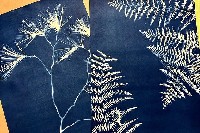Make Sun Prints in the Desert - Who Will Enjoy This?
